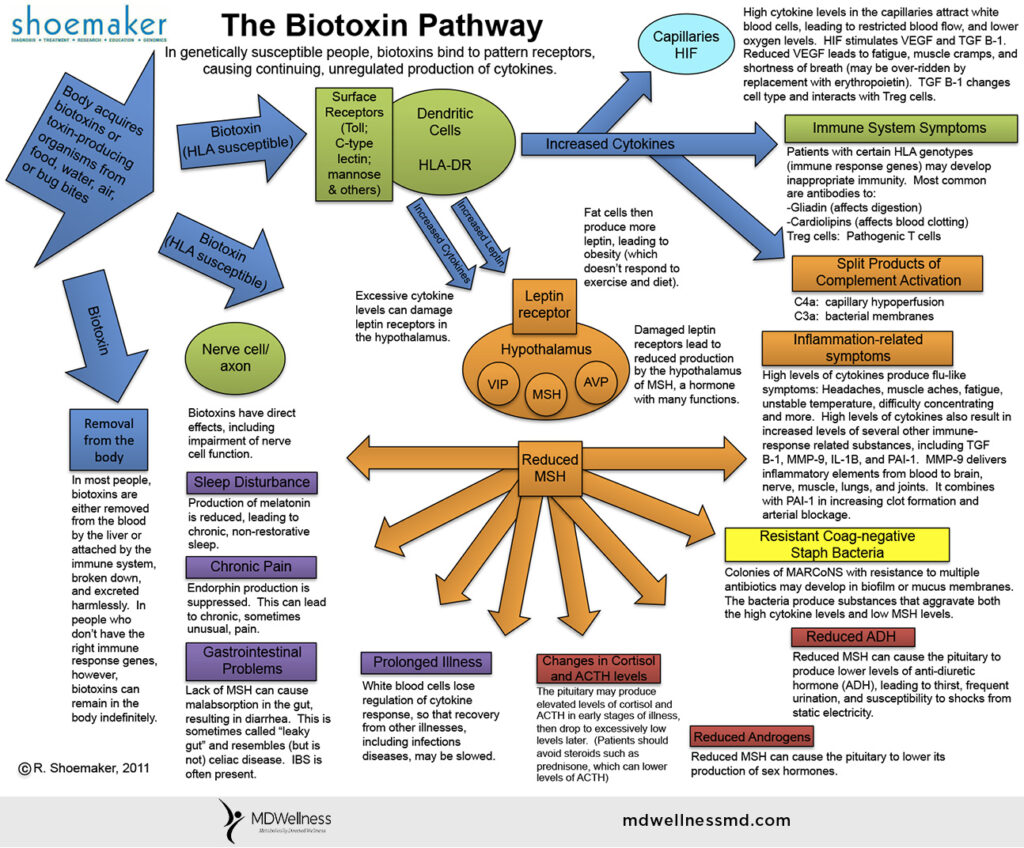 Symptoms of CIRS Biotoxin-Pathway